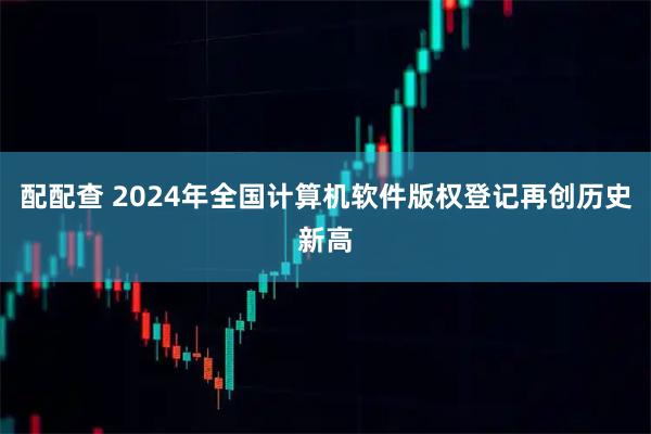 配配查 2024年全国计算机软件版权登记再创历史新高